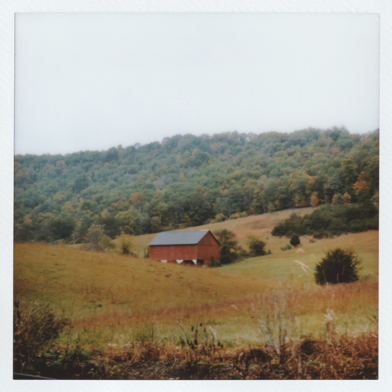 prints-blackbetty-lauren-k-davis-photography-instax