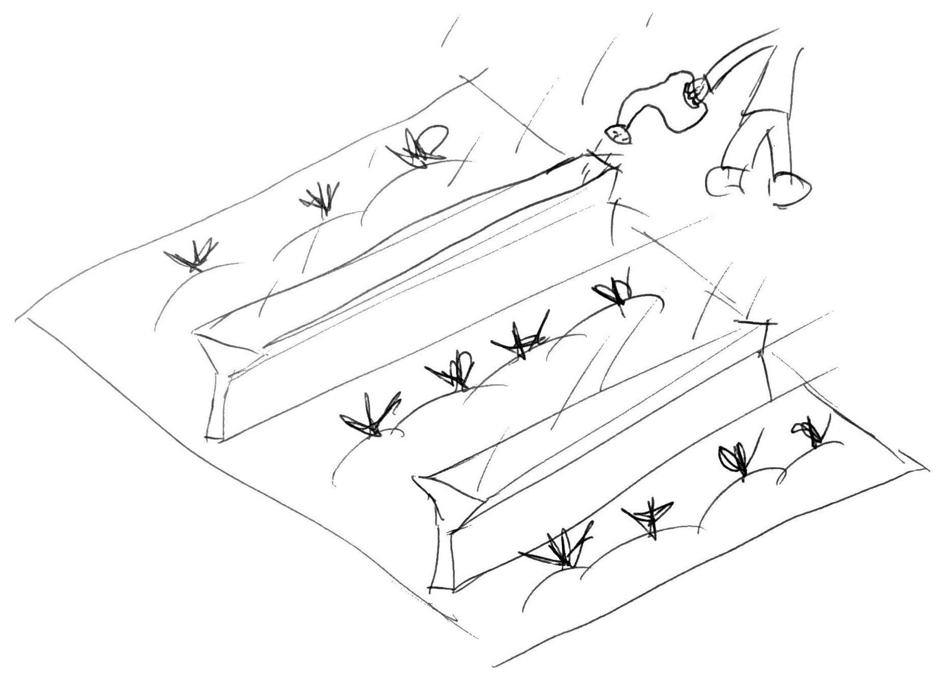 Crop Irrigation System