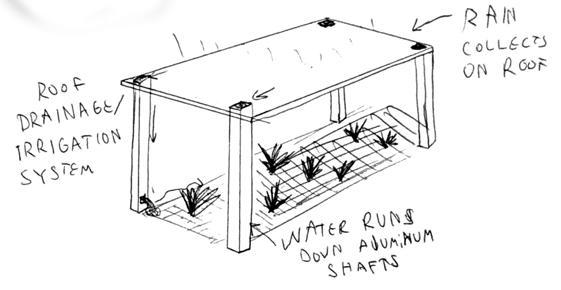 Irrigation Collection Roof