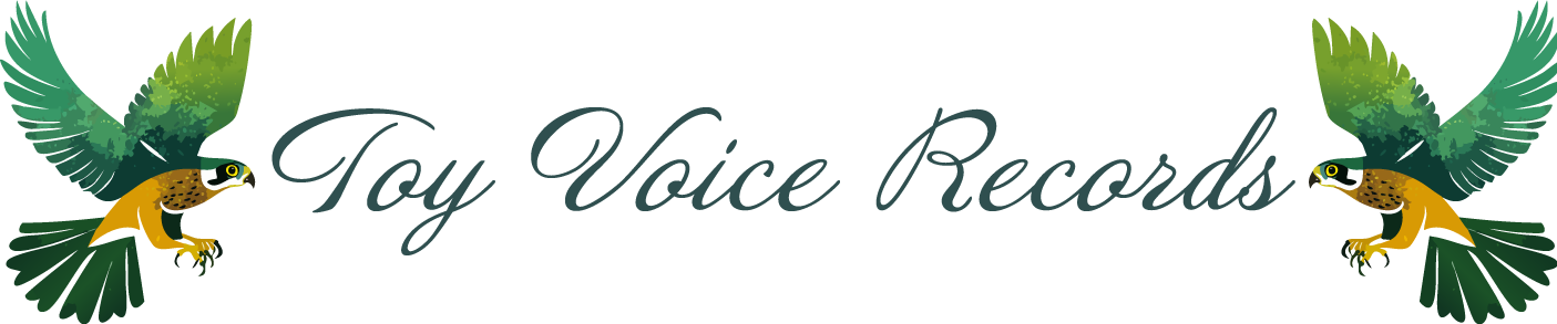 Toy Voice Records