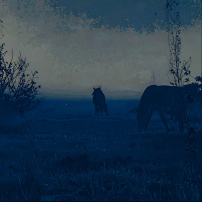 Countrygaze Starter Kit