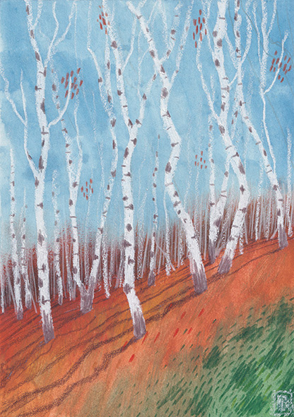 Birkenwald, 148 x 210 mm