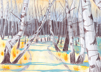 Birkenwald im Winter, 105 x 148 mm