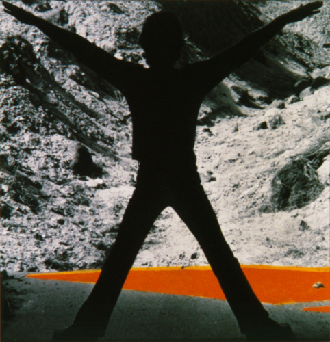 Shadow Dancer