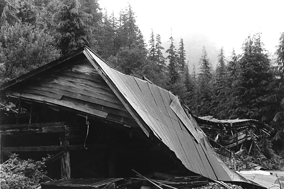 BC Mine Report - Metal Roof