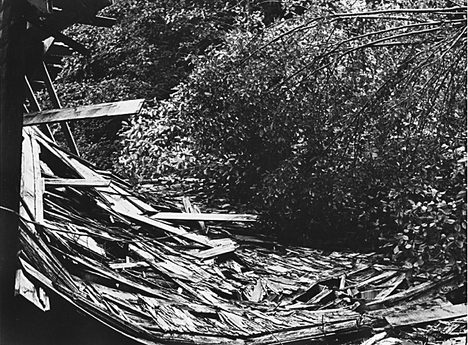 BC Mine Report - Leaf Storm