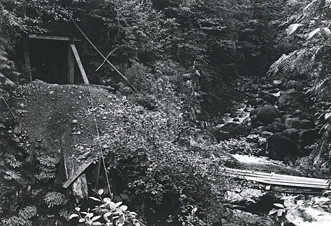 Spud Valley - Entrance to Mine