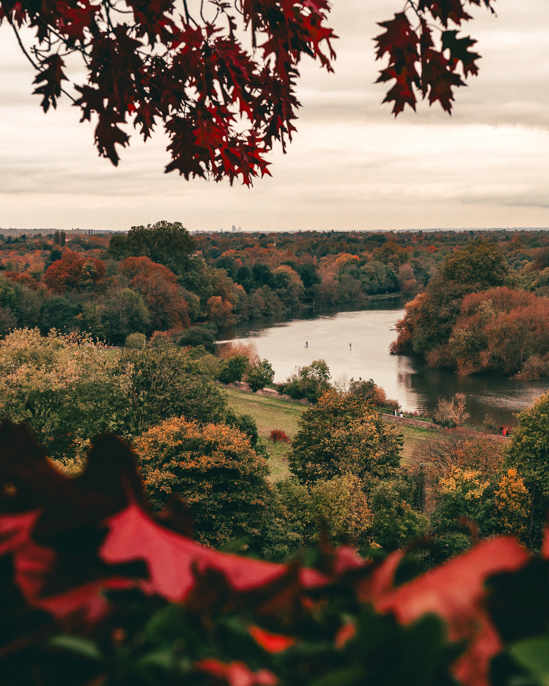 River Thames view from Richmond Hill. London, UK. Photo by Anson Tang.