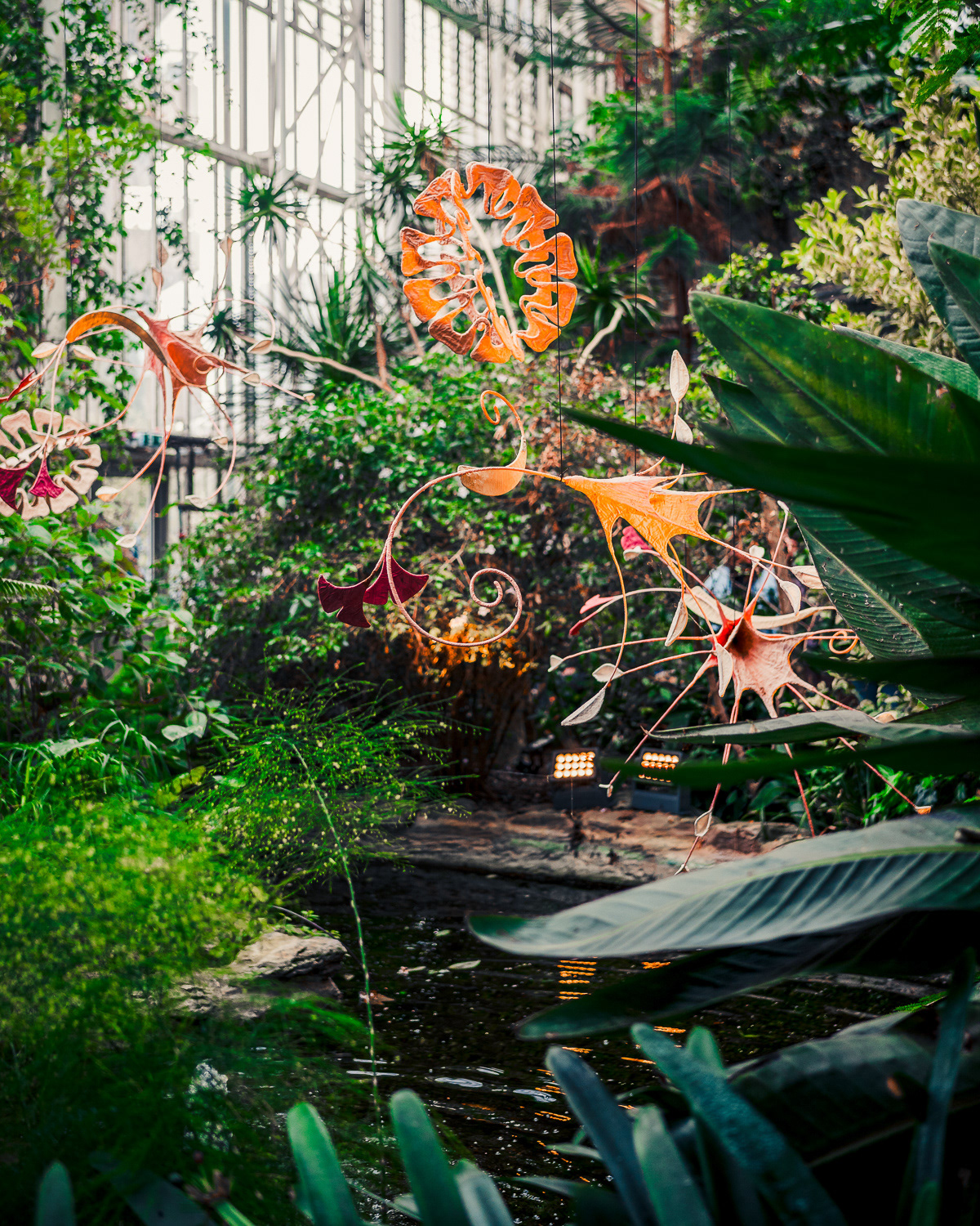 Barbican Conservatory, London. Photo by Anson Tang.