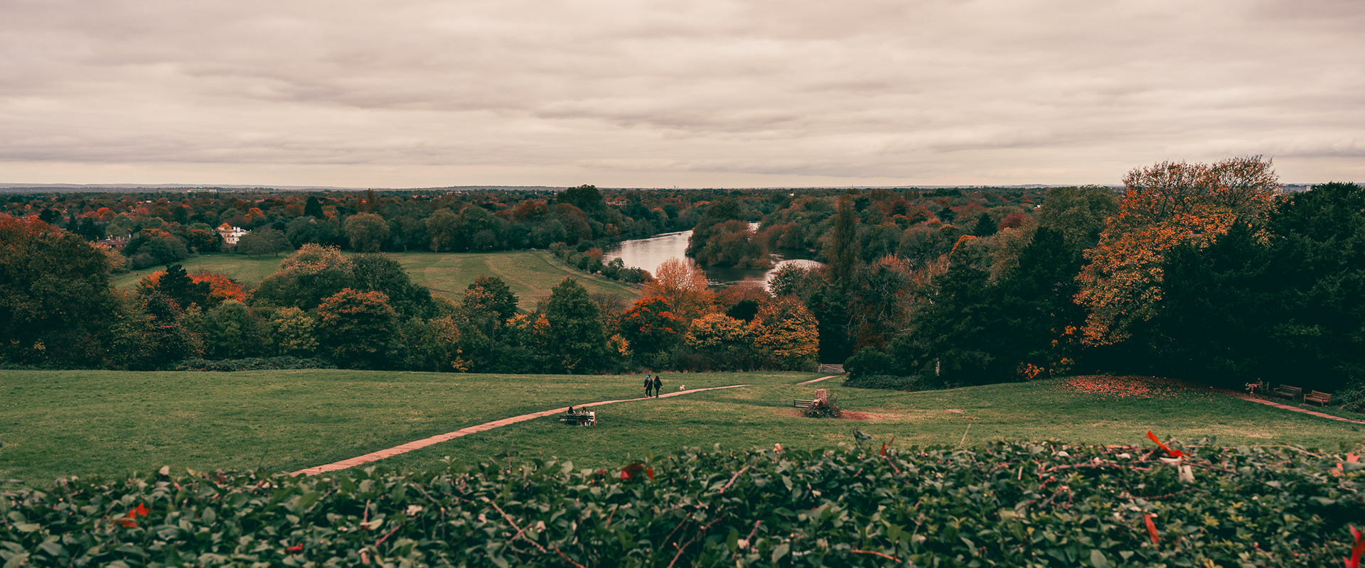 River Thames view from Richmond Hill. London, UK. Photo by Anson Tang.