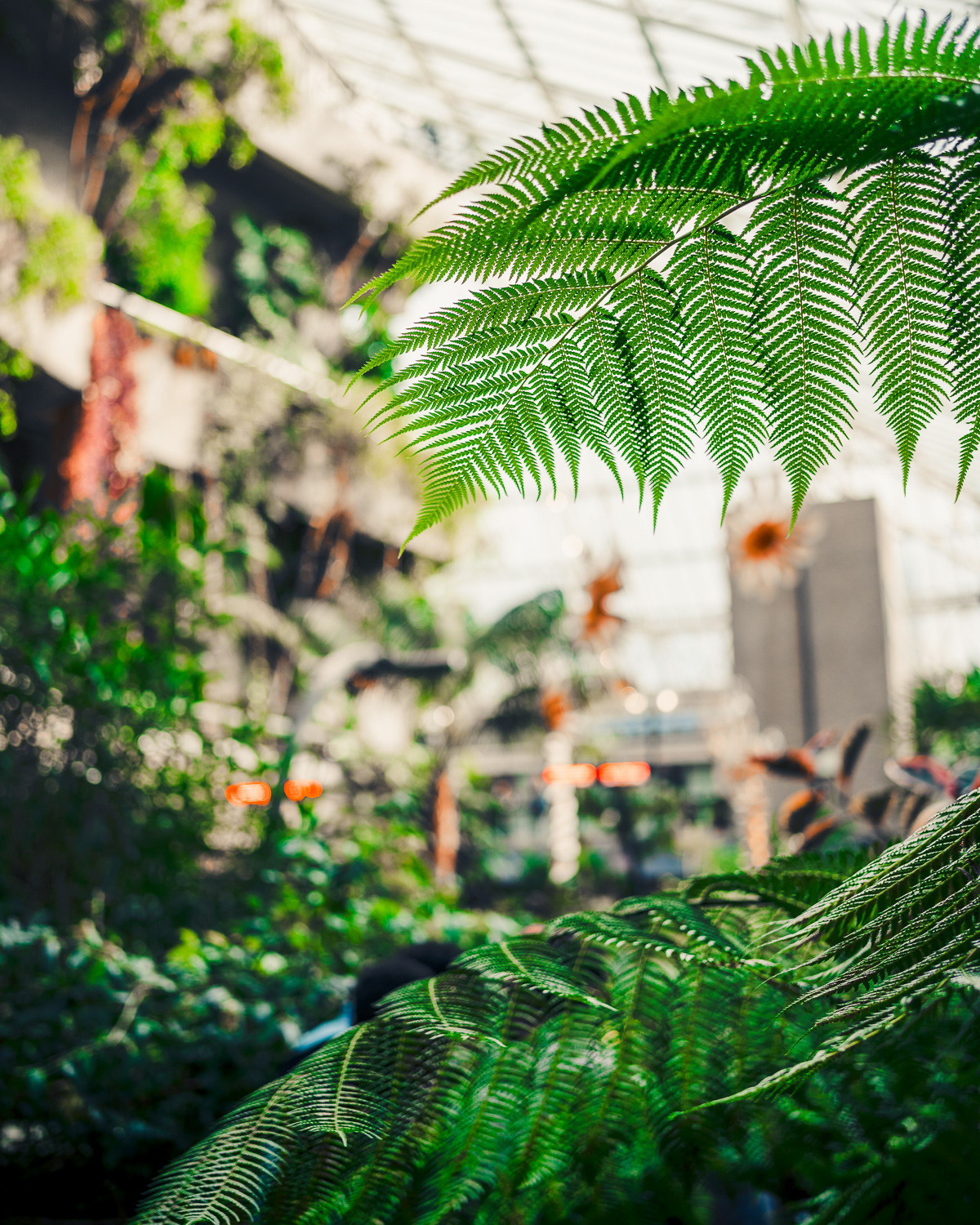 Barbican Conservatory, London. Photo by Anson Tang.