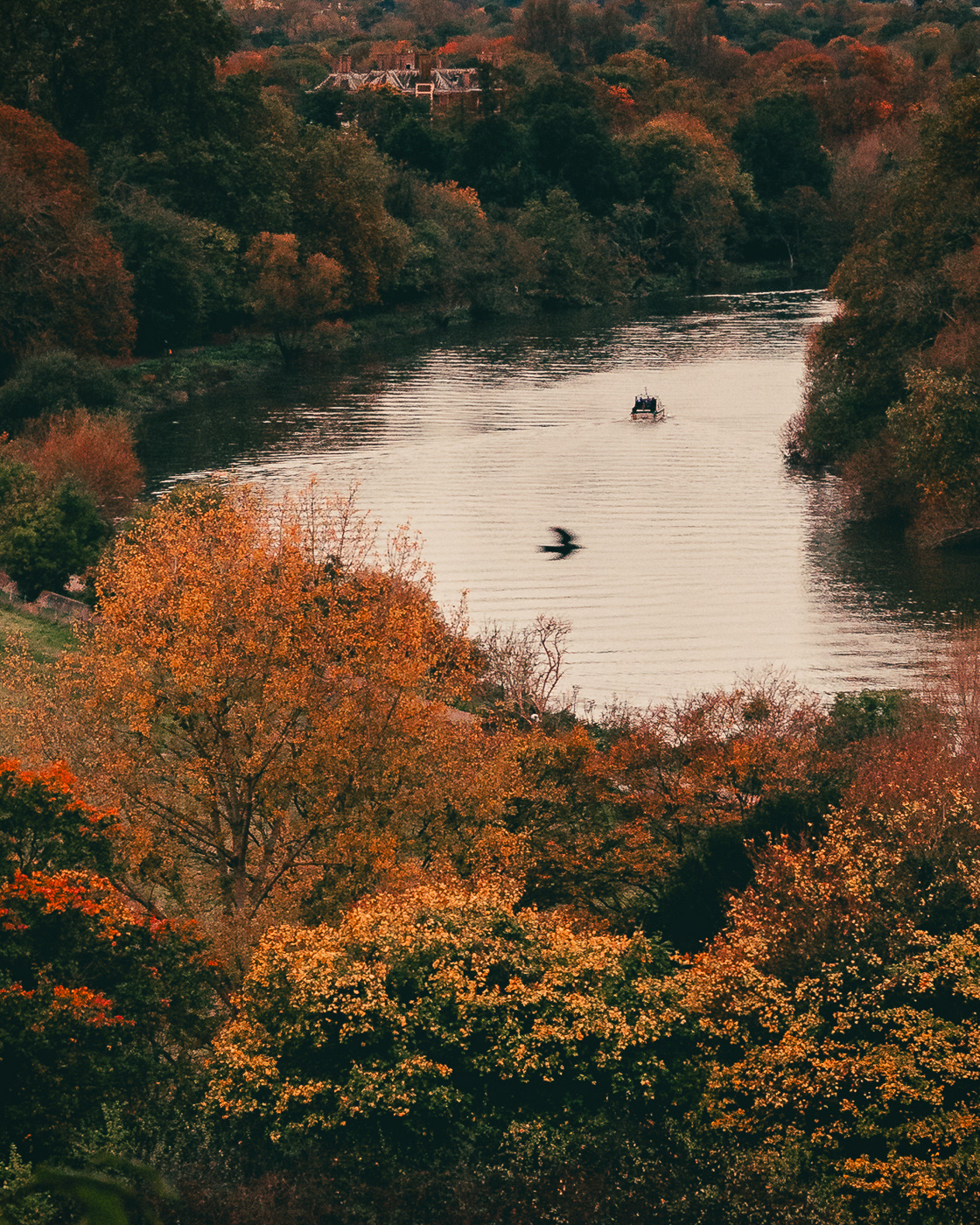 River Thames view from Richmond Hill. London, UK. Photo by Anson Tang.