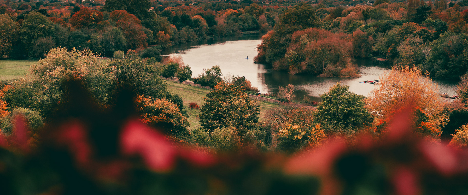 River Thames view from Richmond Hill. London, UK. Photo by Anson Tang.