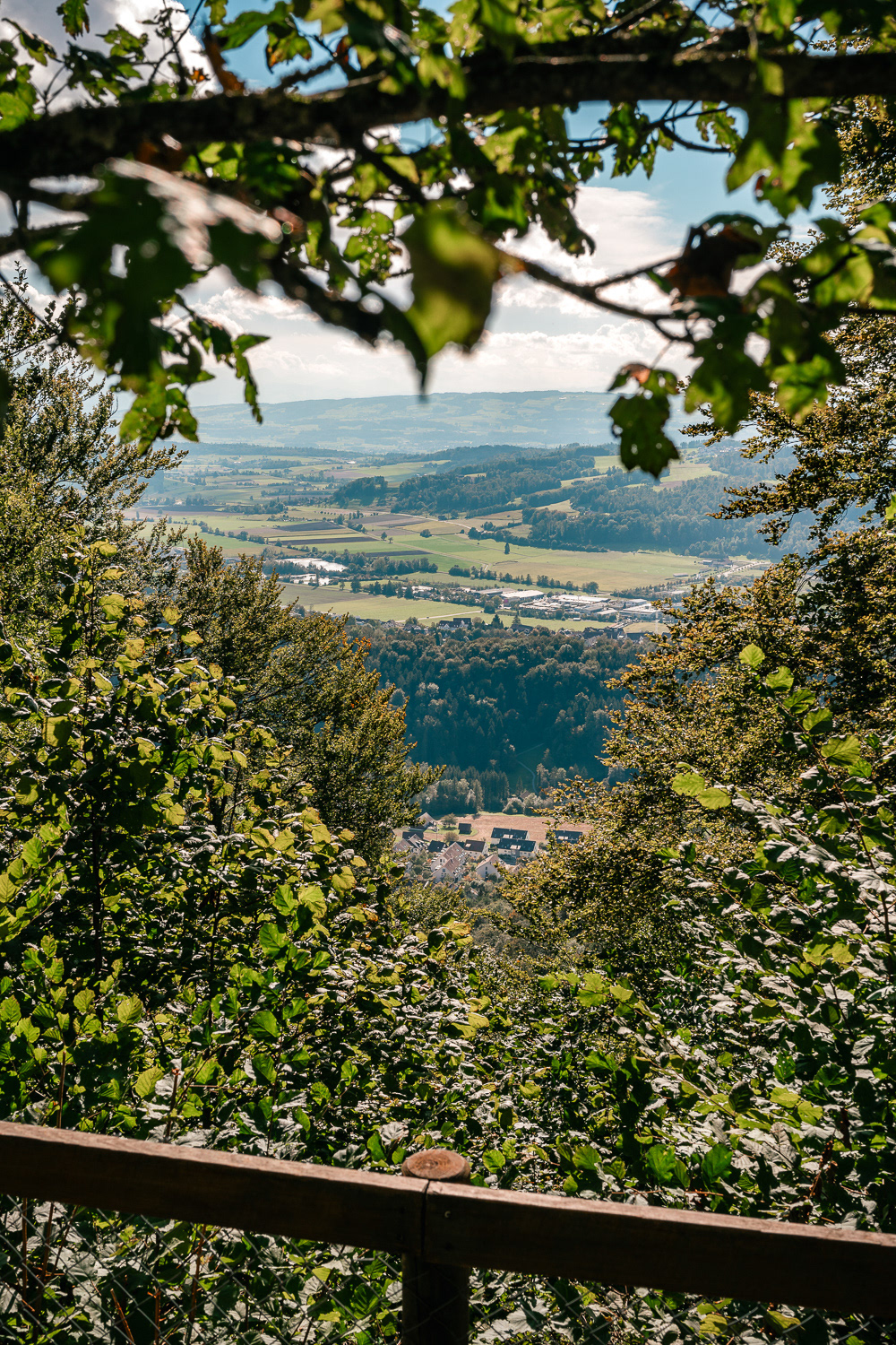 View from Uetliberg Mountain in Zurich, Switzerland. Photo by Anson Tang.