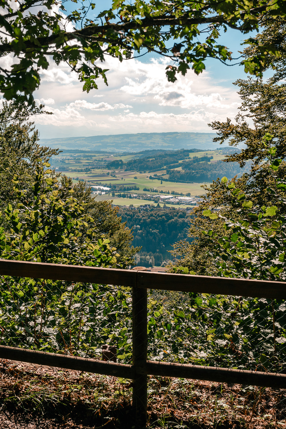 View from Uetliberg Mountain in Zurich, Switzerland. Photo by Anson Tang.