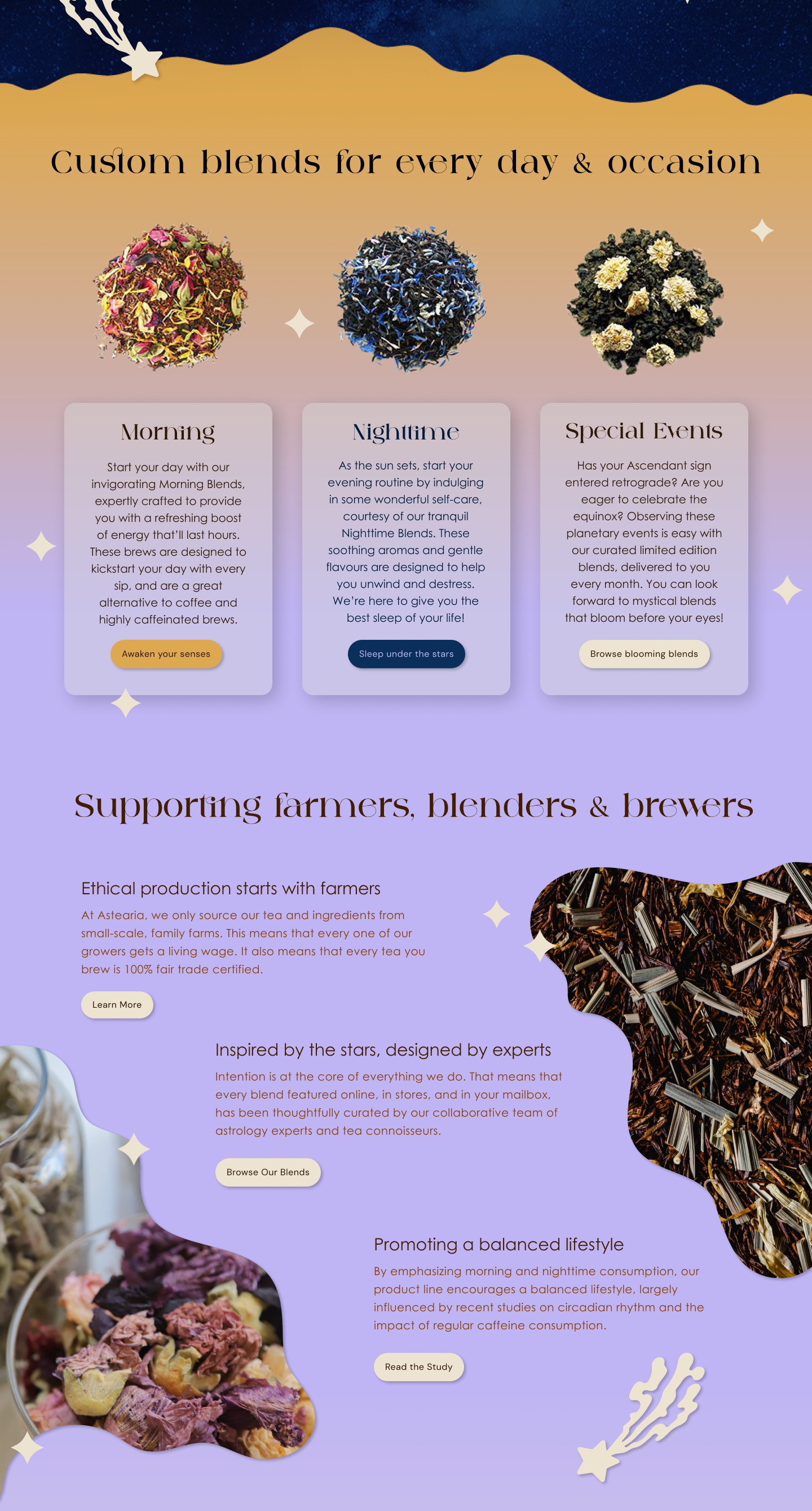Astearia Website Mockup (Sample)