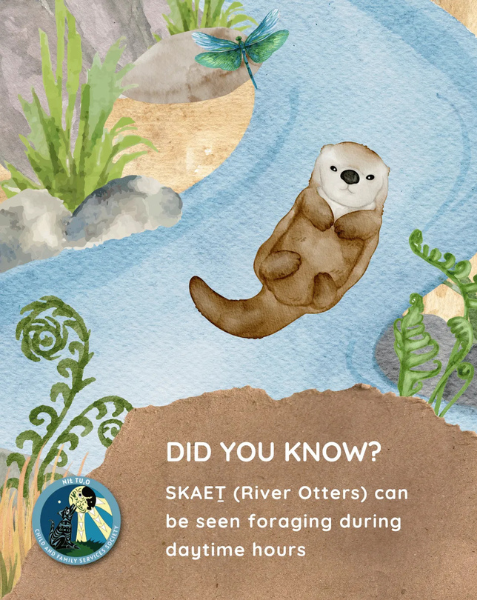 NIȽ TU,O 2025 Coast Salish Animal Campaign Post