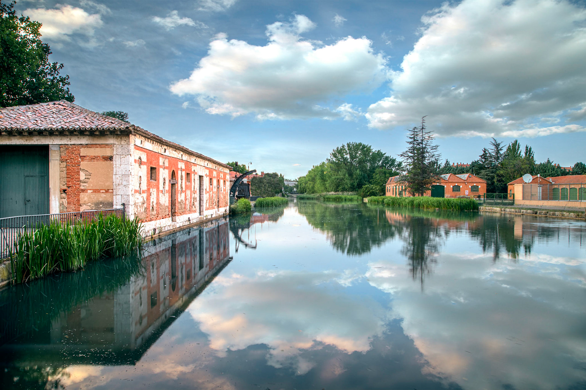 Nature in fusion with the old industrial warehouses