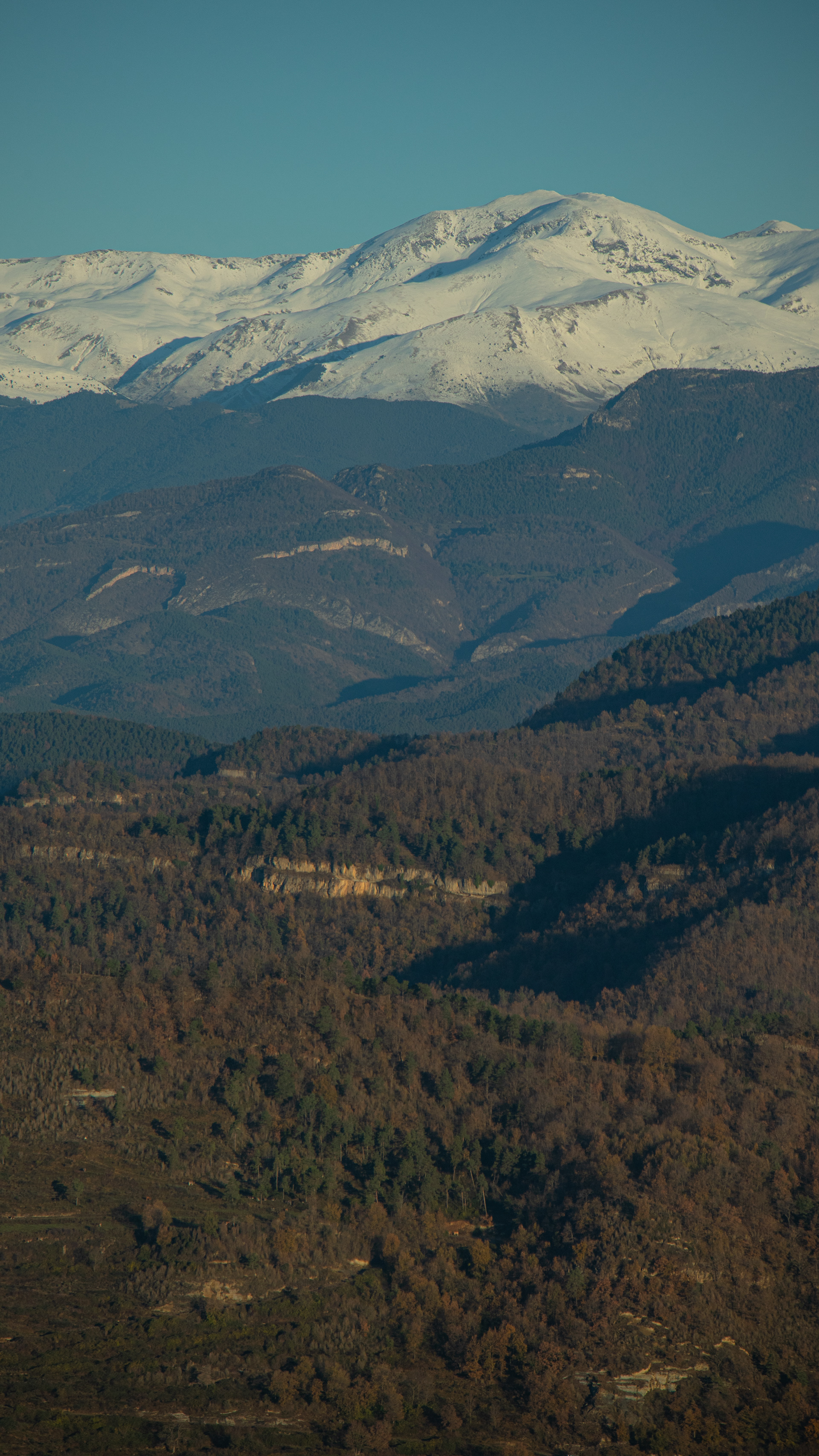 ISO 100 129 mm. f/6.3 1/800 sec.