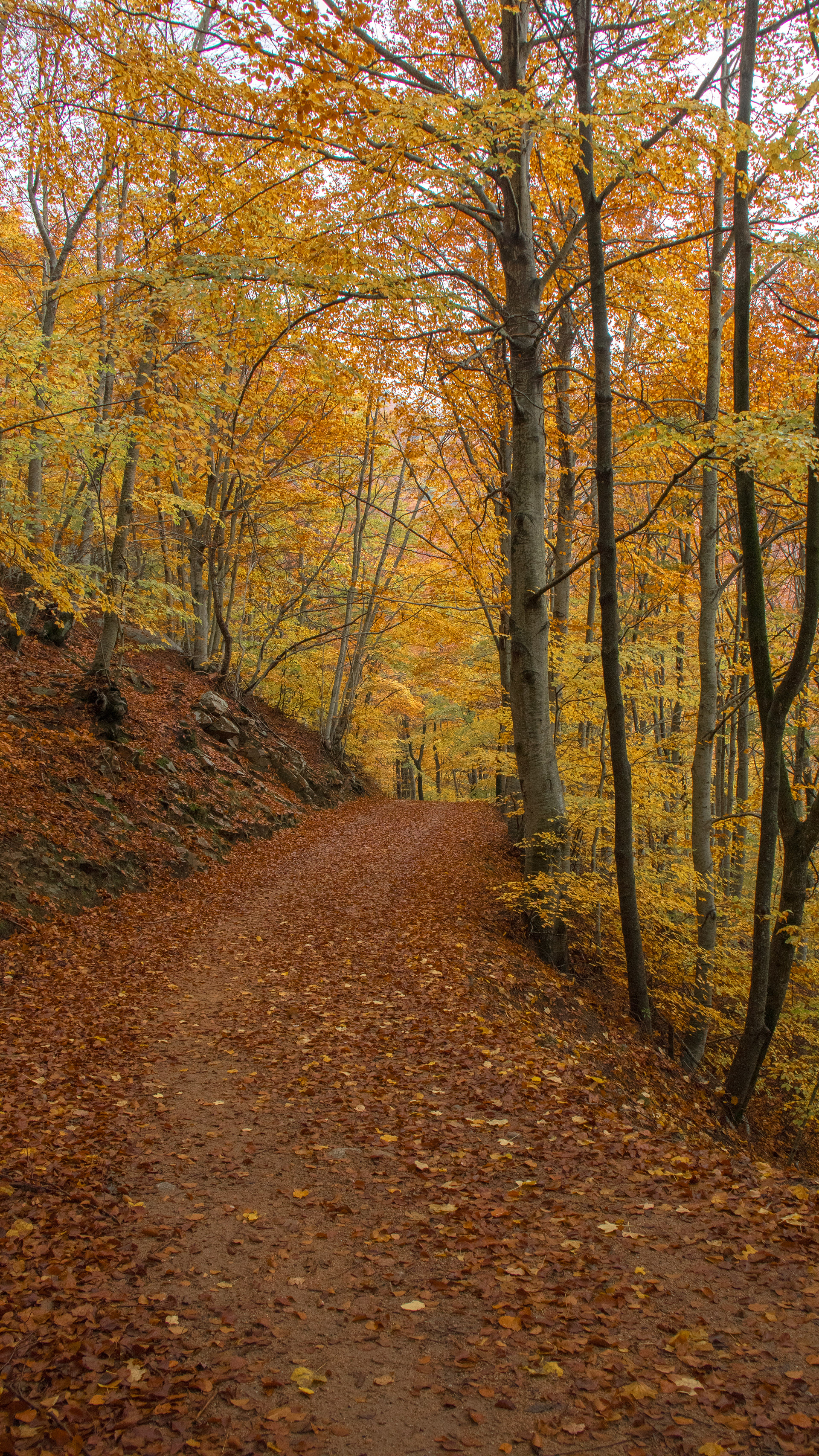 ISO 400 18 mm. f/6.3 1/50 sec.