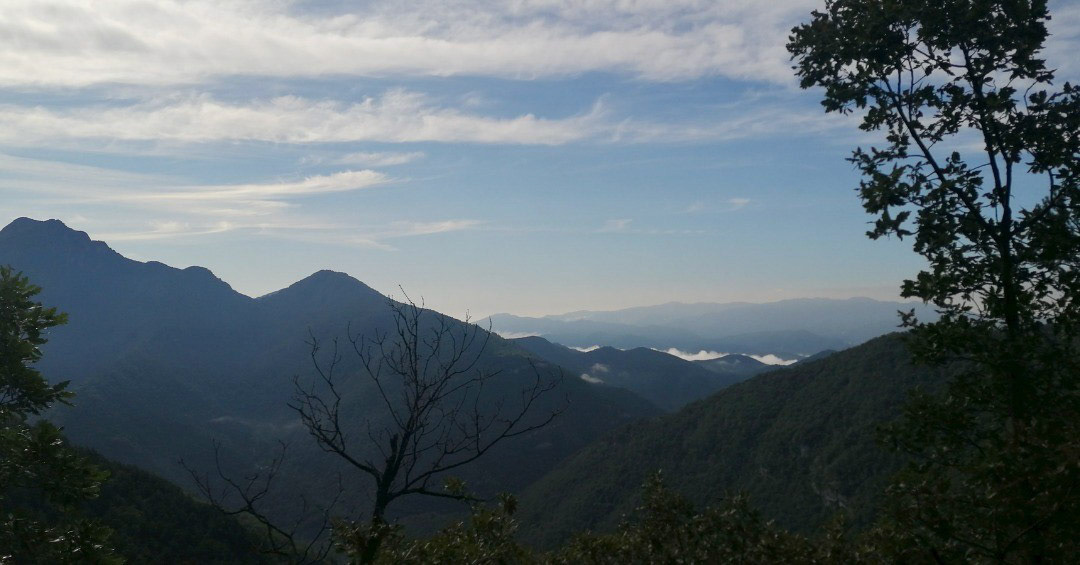 El Ripollès (des de la Collada de Golobran)