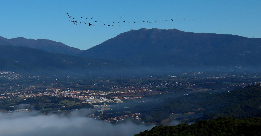 Matagalls (des del Turó de Mataró)