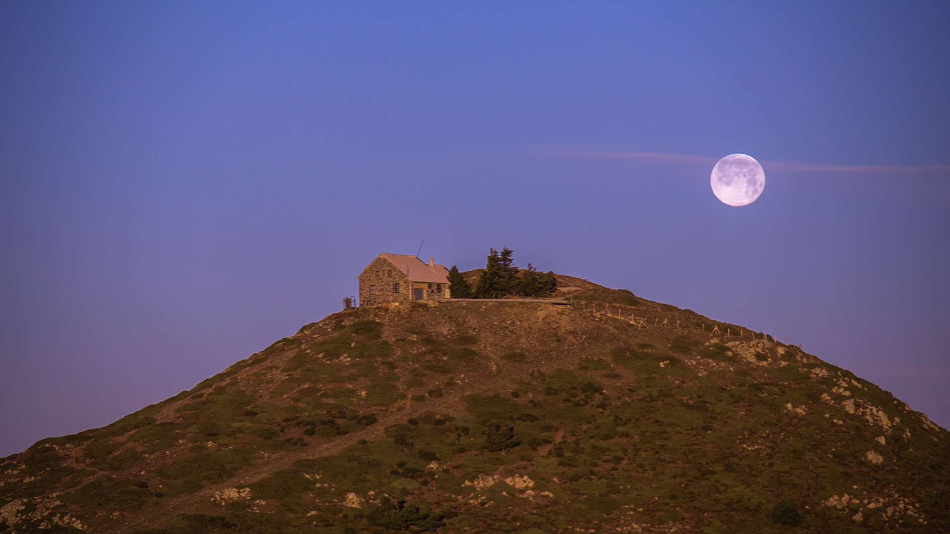 Turó de l'Home (des de Puig Sesolles)