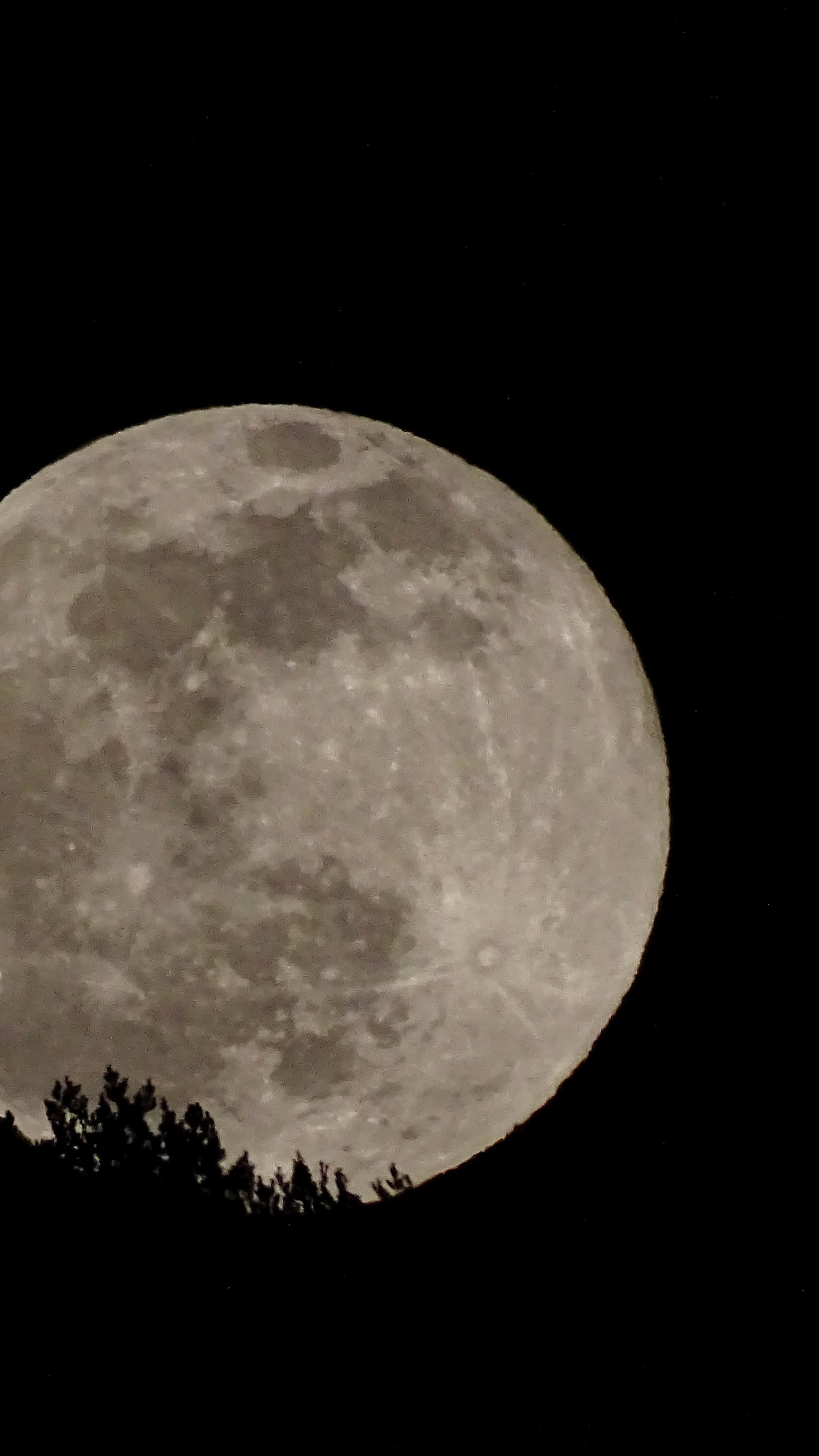 ISO 400 215 mm. f/6.3 1/2000 sec.