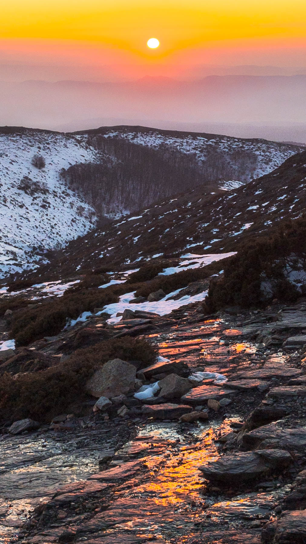 ISO 56 4.38 mm. f/1.7 1/1500 sec.