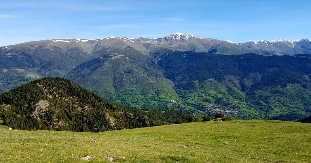 Puigmal (des de Coma Hermada)