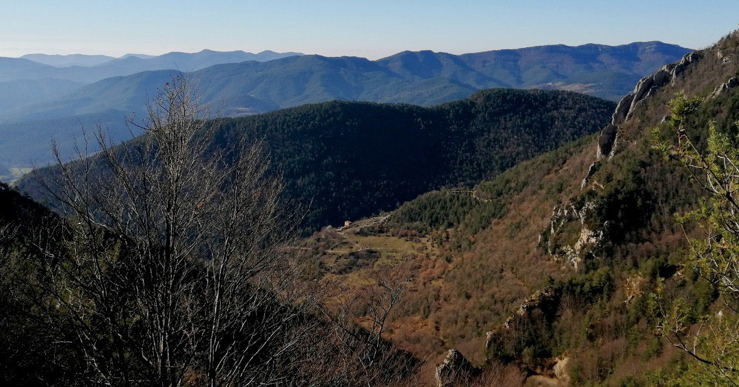 Pardinella (des dels Plans de Monegals)