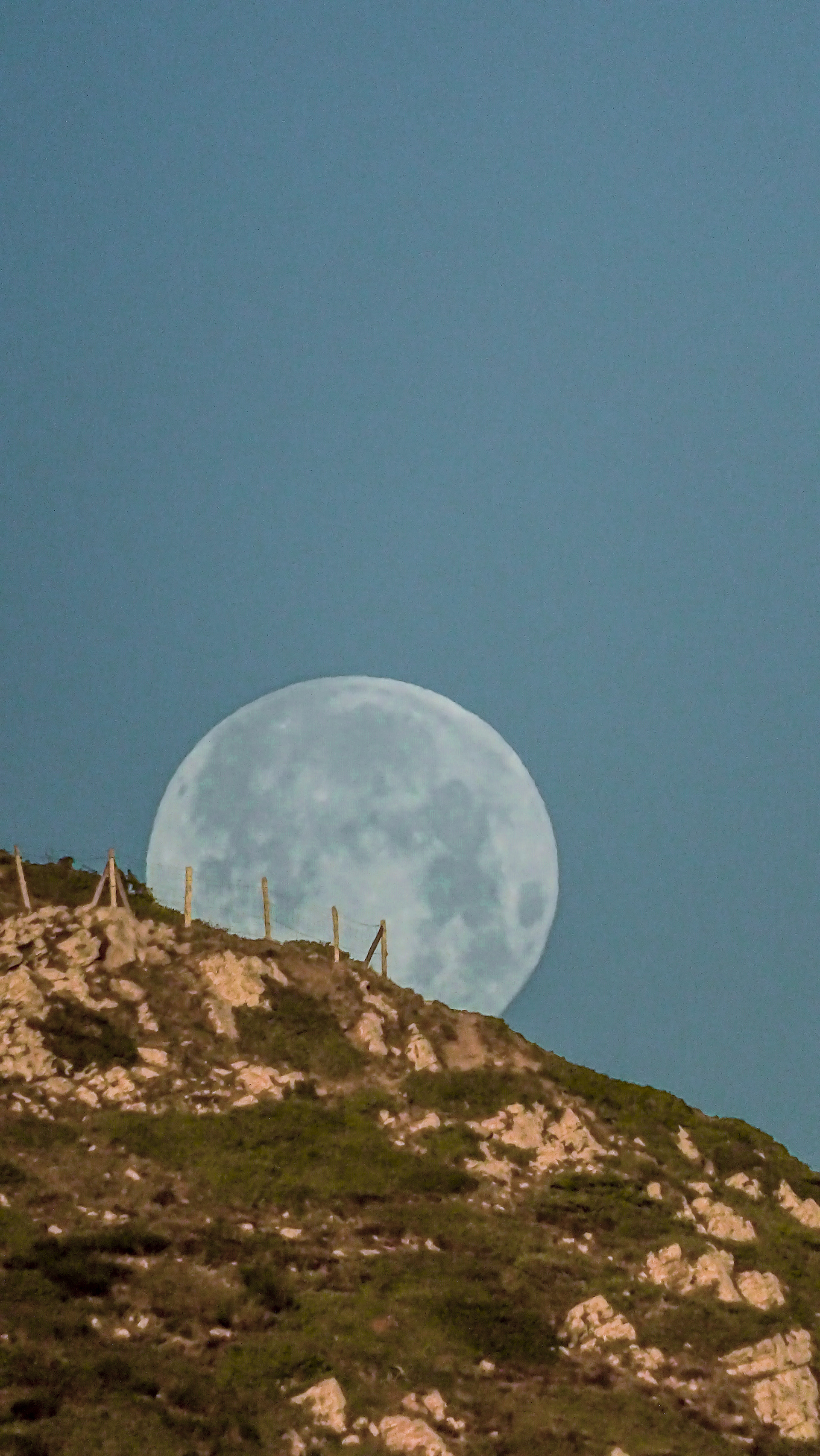 ISO 400 215 mm. f/6.3 1/2000 sec.