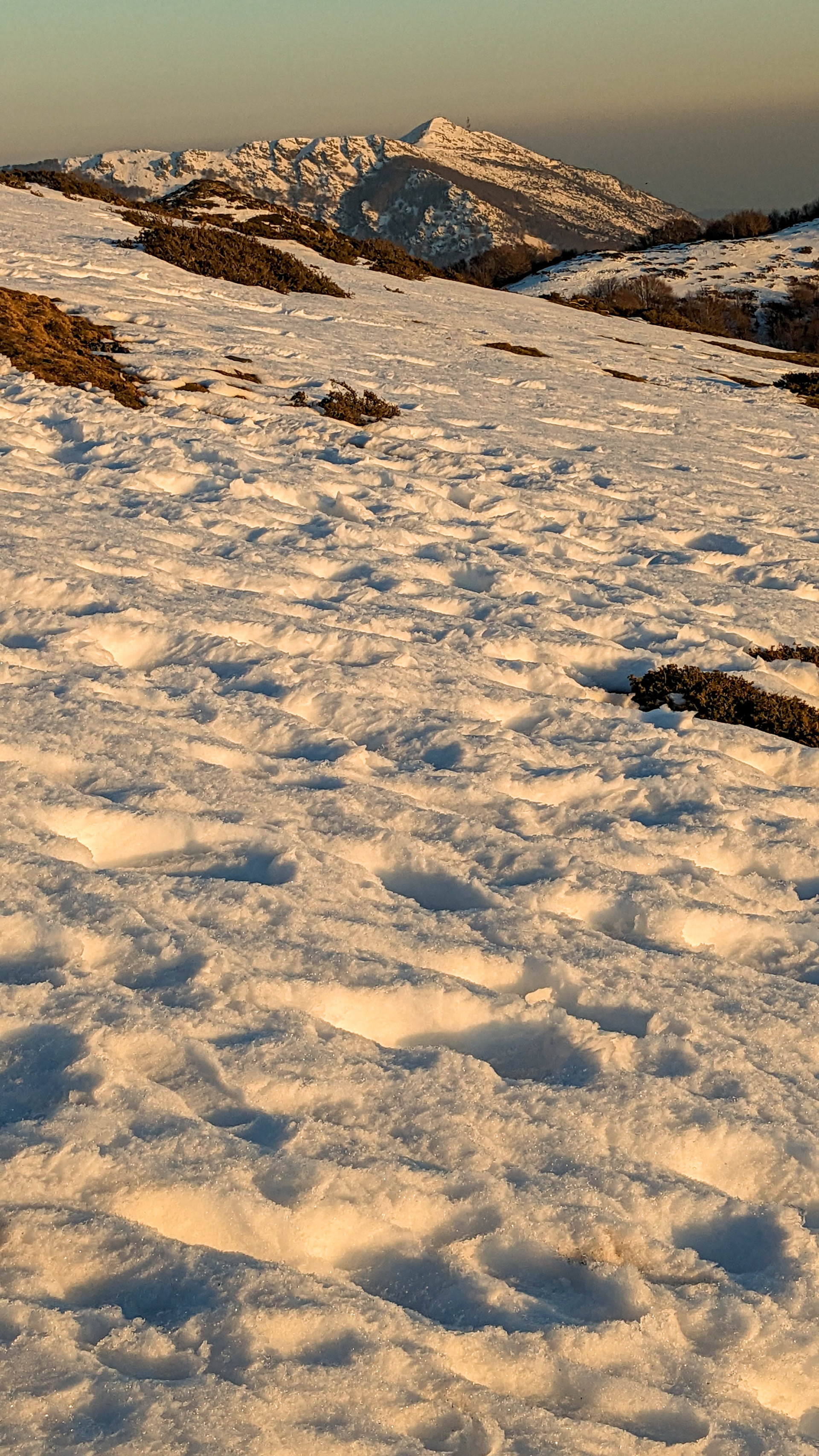 ISO 65 4.38 mm. f/1.7 1/2900 sec.