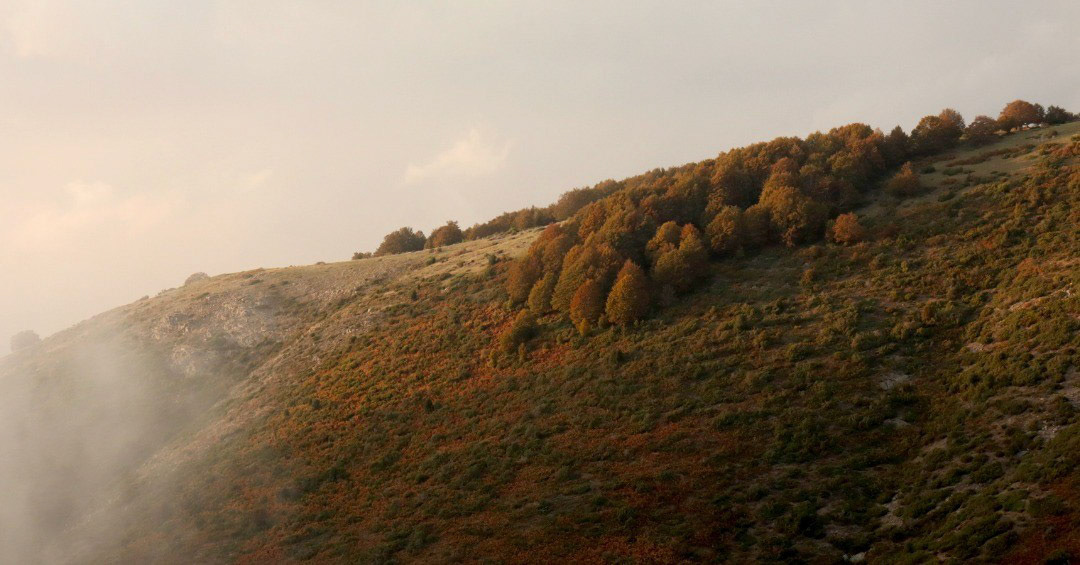 Matagalls (des de la Baga de la Fagetona)