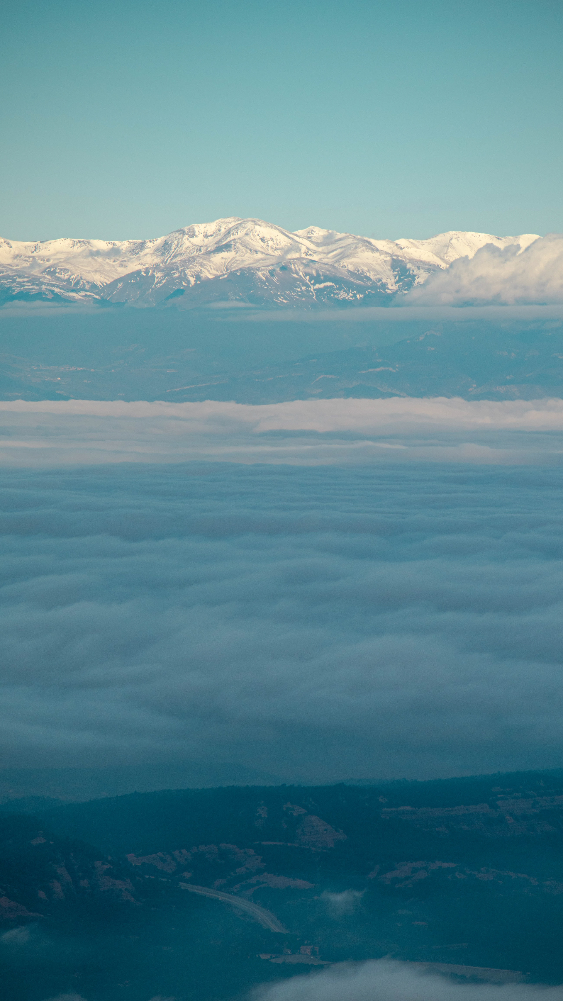 ISO 100 135 mm. f/6.3 1/800 sec.