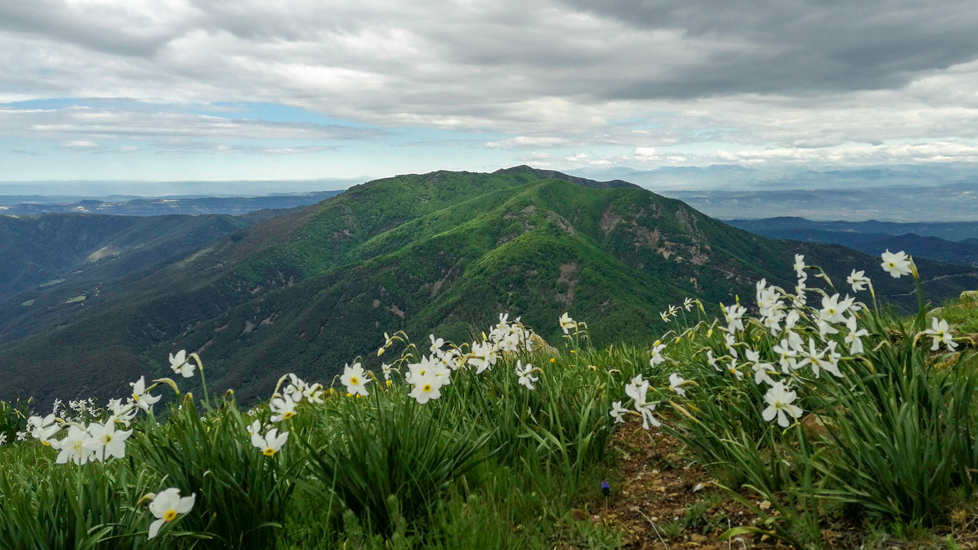 Matagalls (des de Les Agudes)