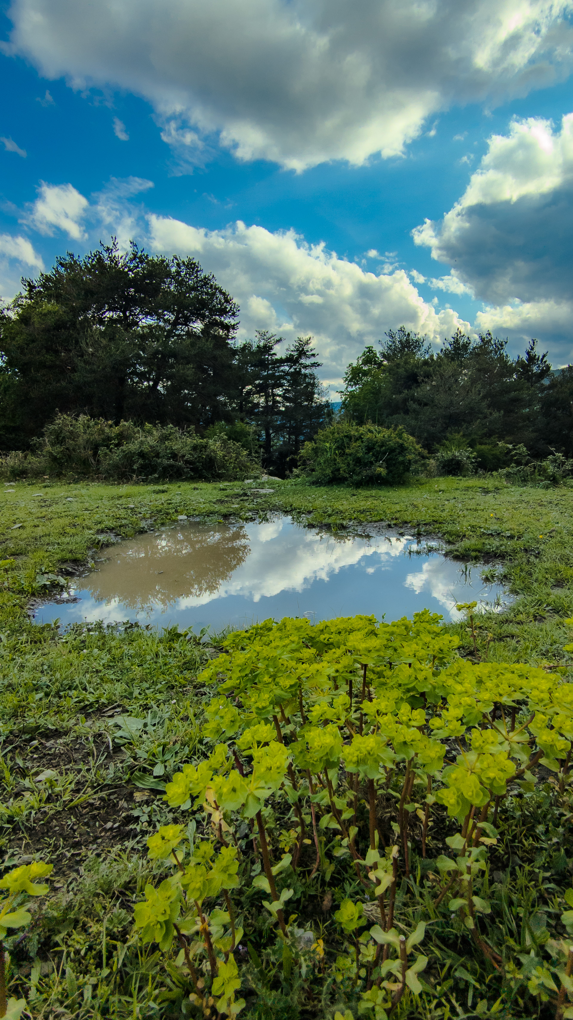 ISO 49 2.35 mm. f/22 1/1700 sec.