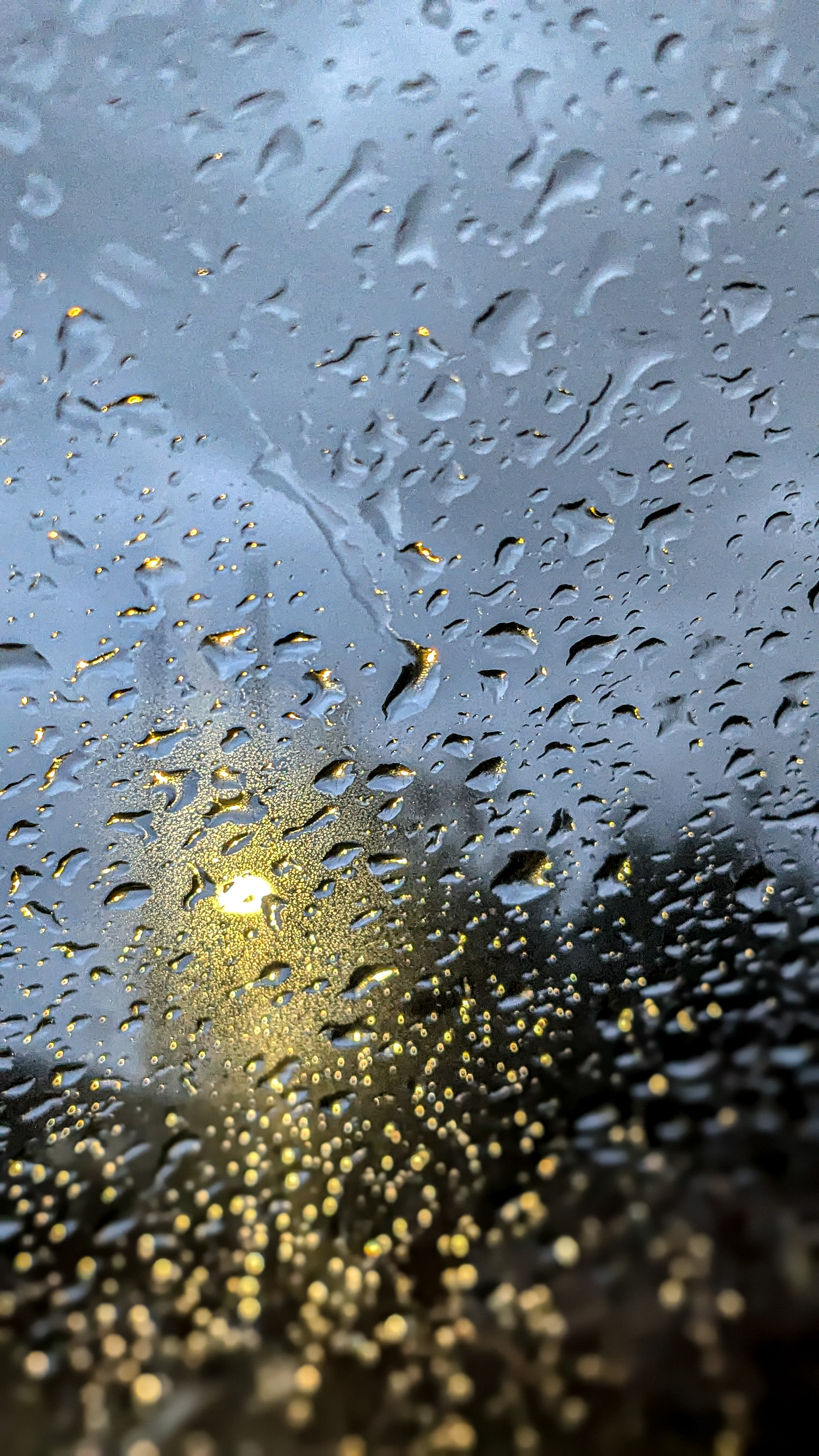 ISO 702 4.4 mm. f/1.7 1/100 sec.