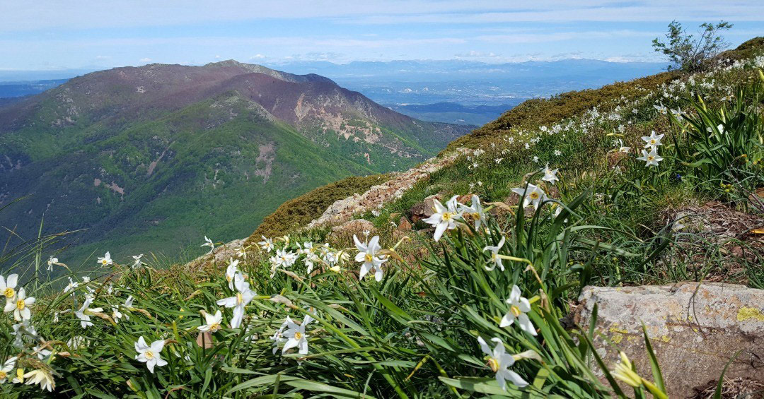 Matagalls (des de Les Agudes)