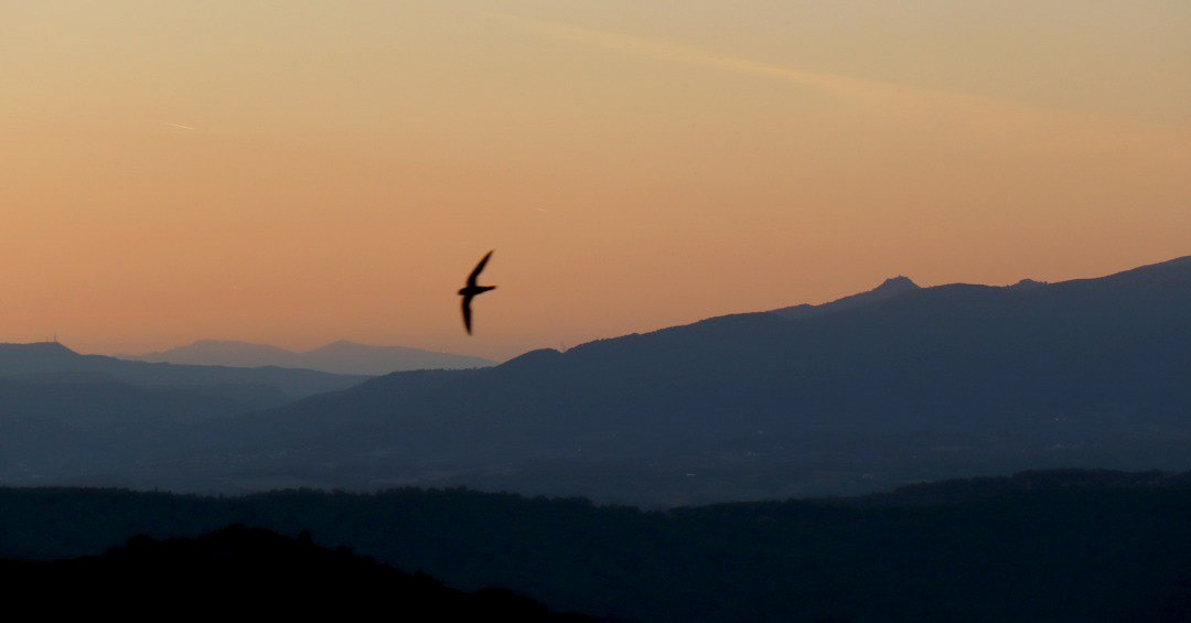 Tagamanent (des del Castell de Burriac)
