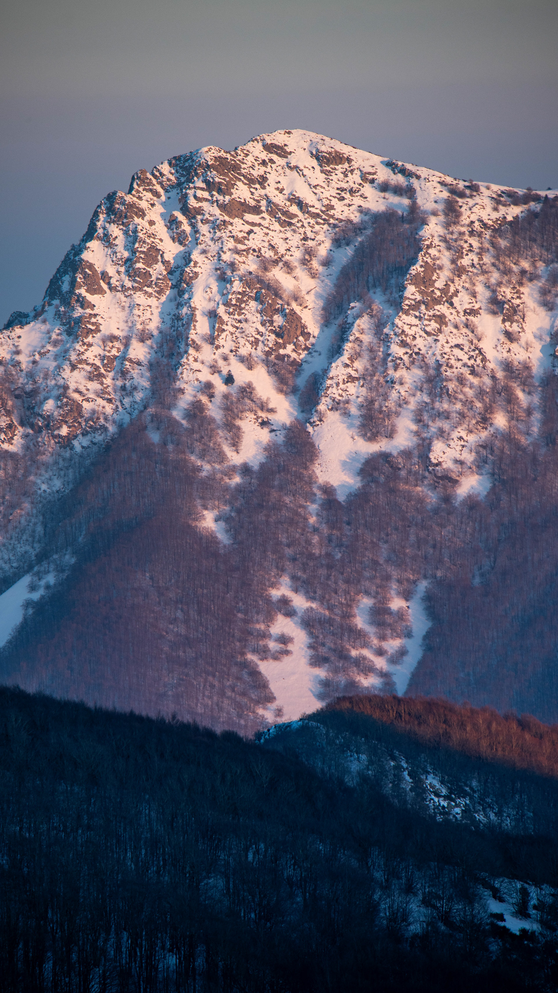 ISO 100 150 mm. f/6.3 1/100 sec.