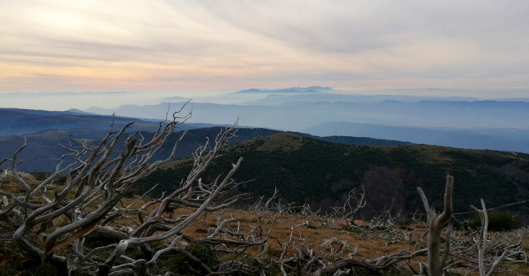 Montserrat (des del Matagalls)