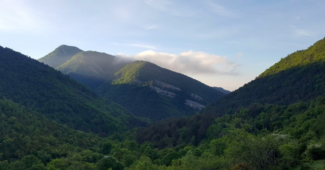 Grats (des de Pardinella)