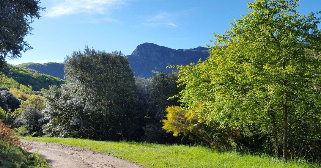 Agudes (des de Sant Marçal)