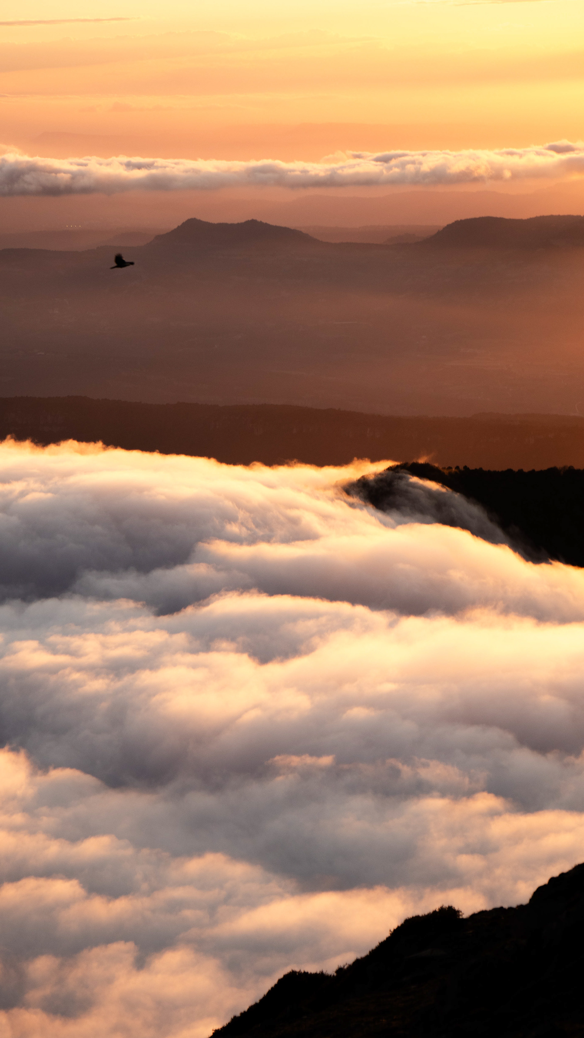 ISO 100 84 mm. f/6.3 1/200 sec.