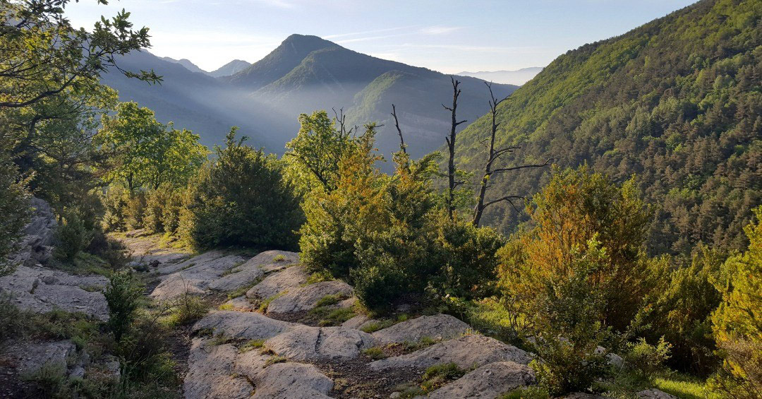 Grats (des de Pardinella)