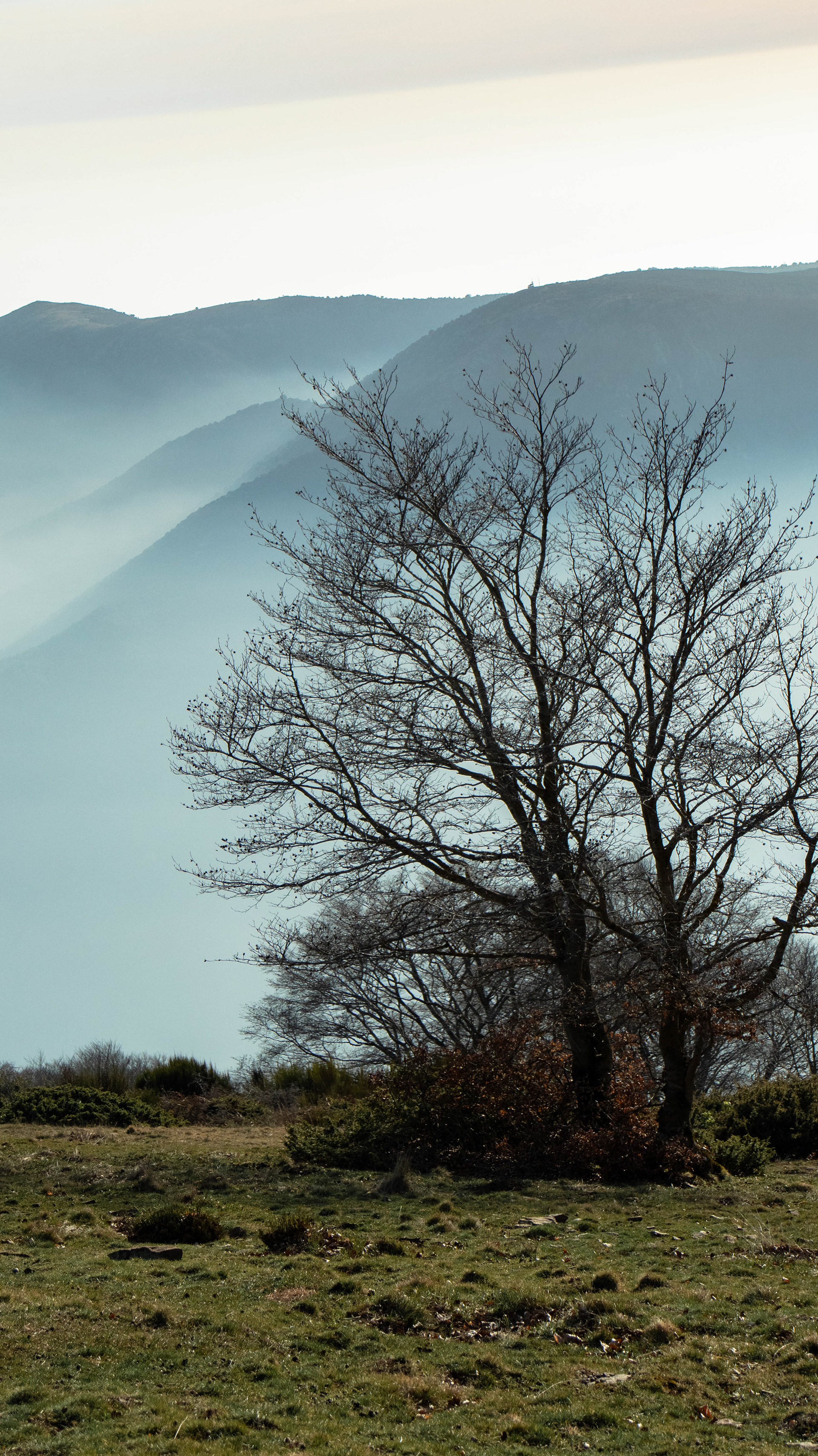 ISO 400 62 mm. f/9.0 1/1250 sec.