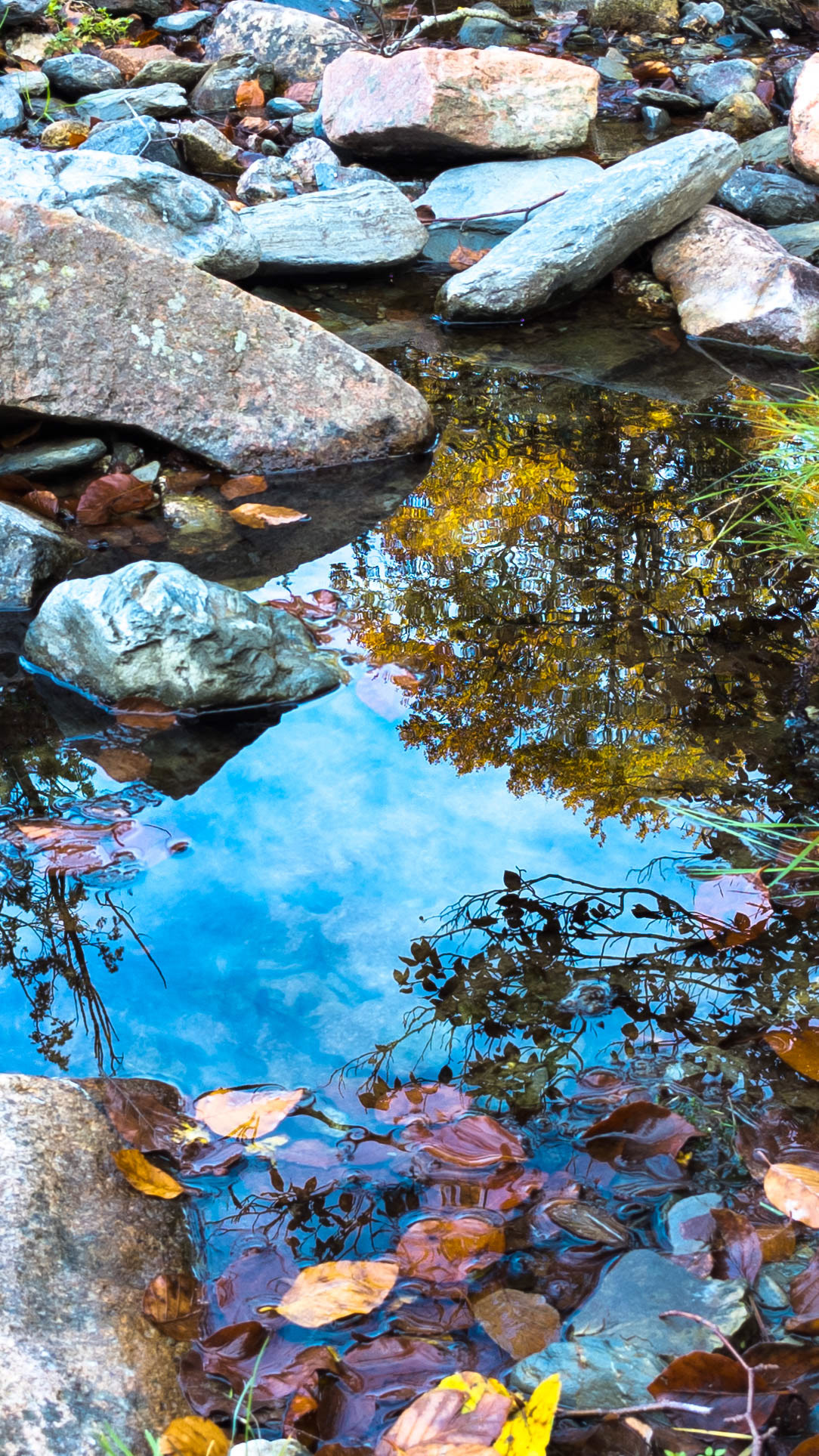 ISO 56 4.38 mm. f/1.7 1/200 sec.