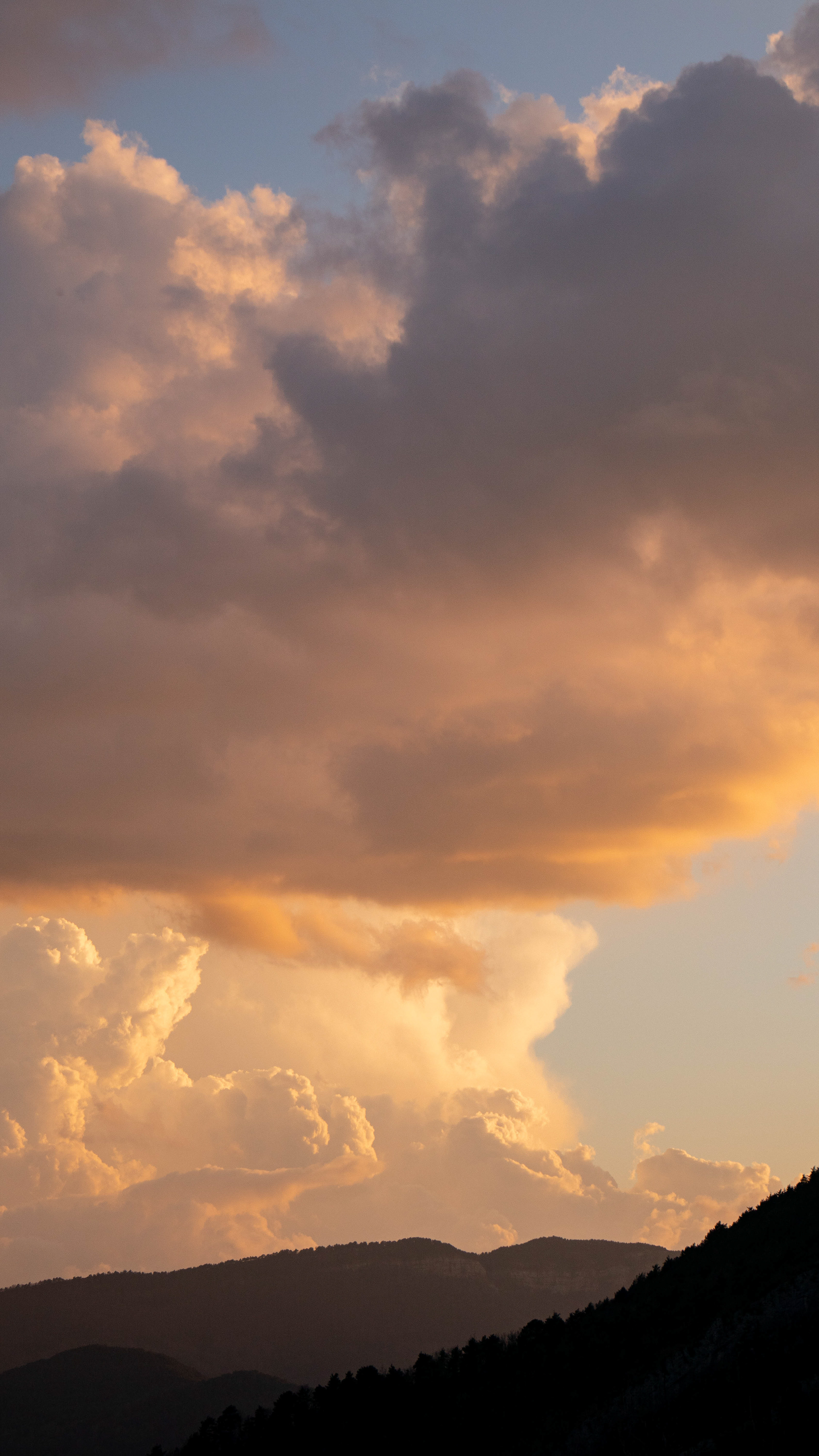 ISO 100 60 mm. f/6.3 1/320 sec.