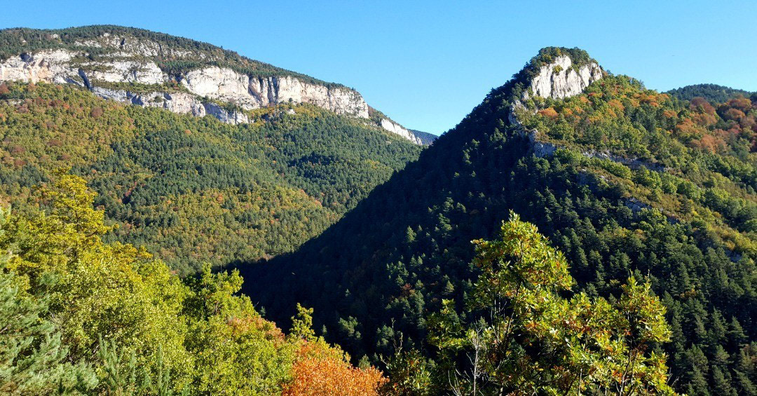 Puig de Sant Pere i Cim del Bosc